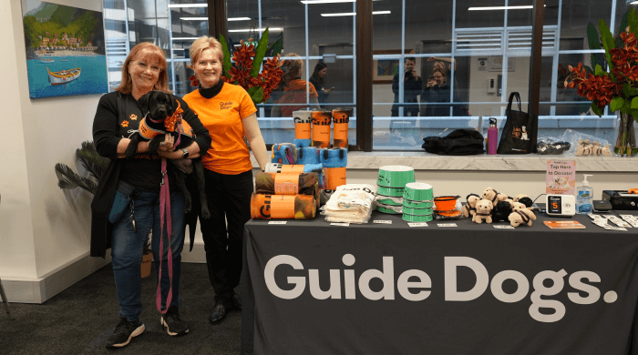 Guide Dogs